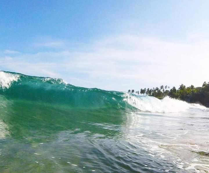 Goyambokka Guesthouse Tangalle Dış mekan fotoğraf