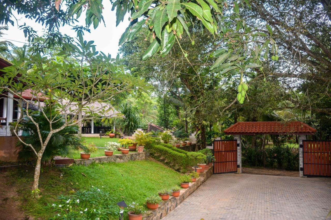 Goyambokka Guesthouse Tangalle Dış mekan fotoğraf