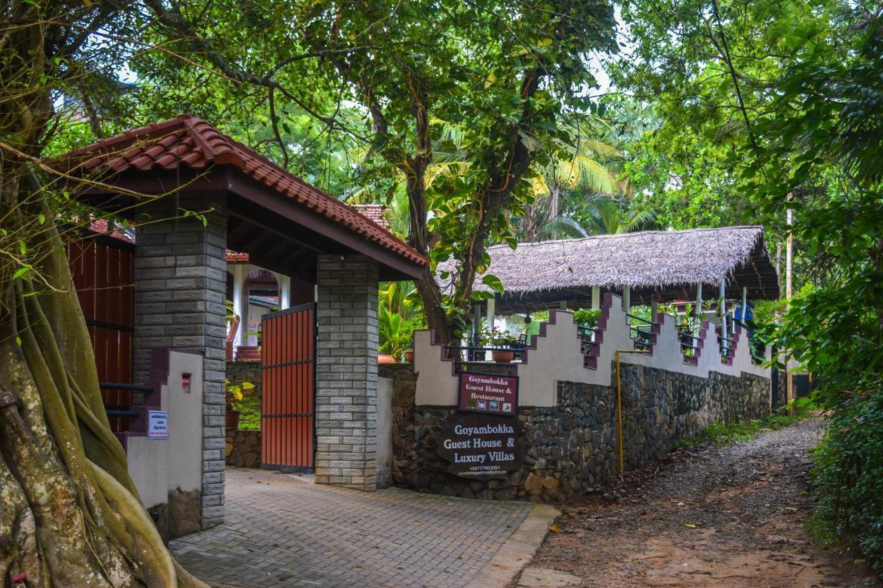 Goyambokka Guesthouse Tangalle Dış mekan fotoğraf