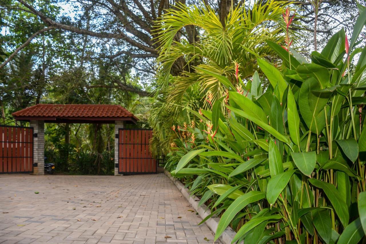 Goyambokka Guesthouse Tangalle Dış mekan fotoğraf