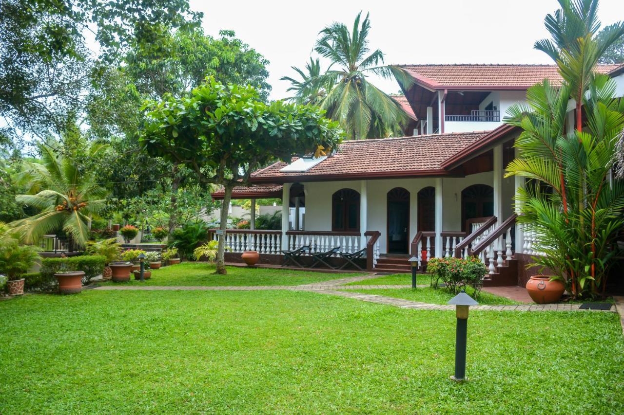 Goyambokka Guesthouse Tangalle Dış mekan fotoğraf