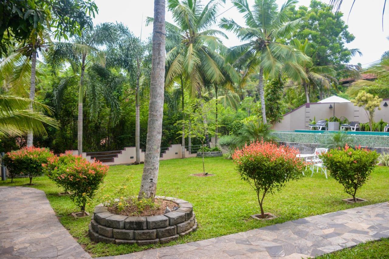 Goyambokka Guesthouse Tangalle Dış mekan fotoğraf
