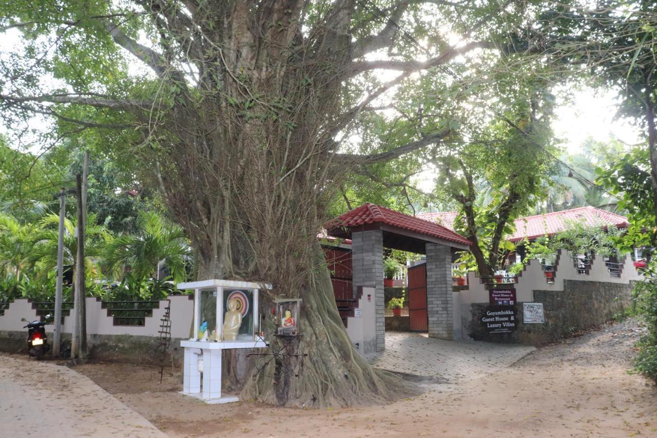 Goyambokka Guesthouse Tangalle Dış mekan fotoğraf